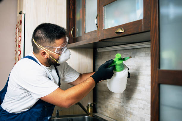 Best Pest Prevention Services  in South Ack, NY