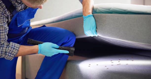 Best Rat Extermination Near Me  in South Ack, NY