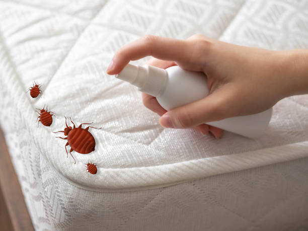 Best Best Pest Control Companies  in South Ack, NY